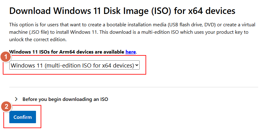 Selezione download ISO Windows 11